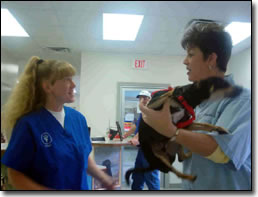 Morehead Veterinary Clinic - Morehead, Kentucky