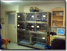 Morehead Veterinary Clinic - Morehead, Kentucky