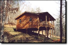Pine Tree Rentals