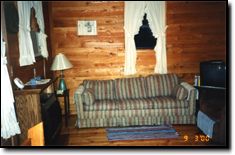 Pine Tree Rentals