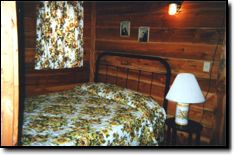 Pine Tree Rentals
