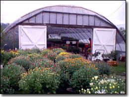 Ramey Greenhouse - Farmers, Kentucky