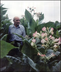 Tom Smith in his Tobacco Field