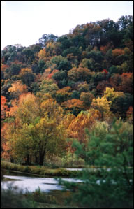 Cave Run Lake