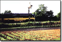 Railroad In Farmers, KY