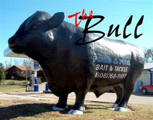the bull